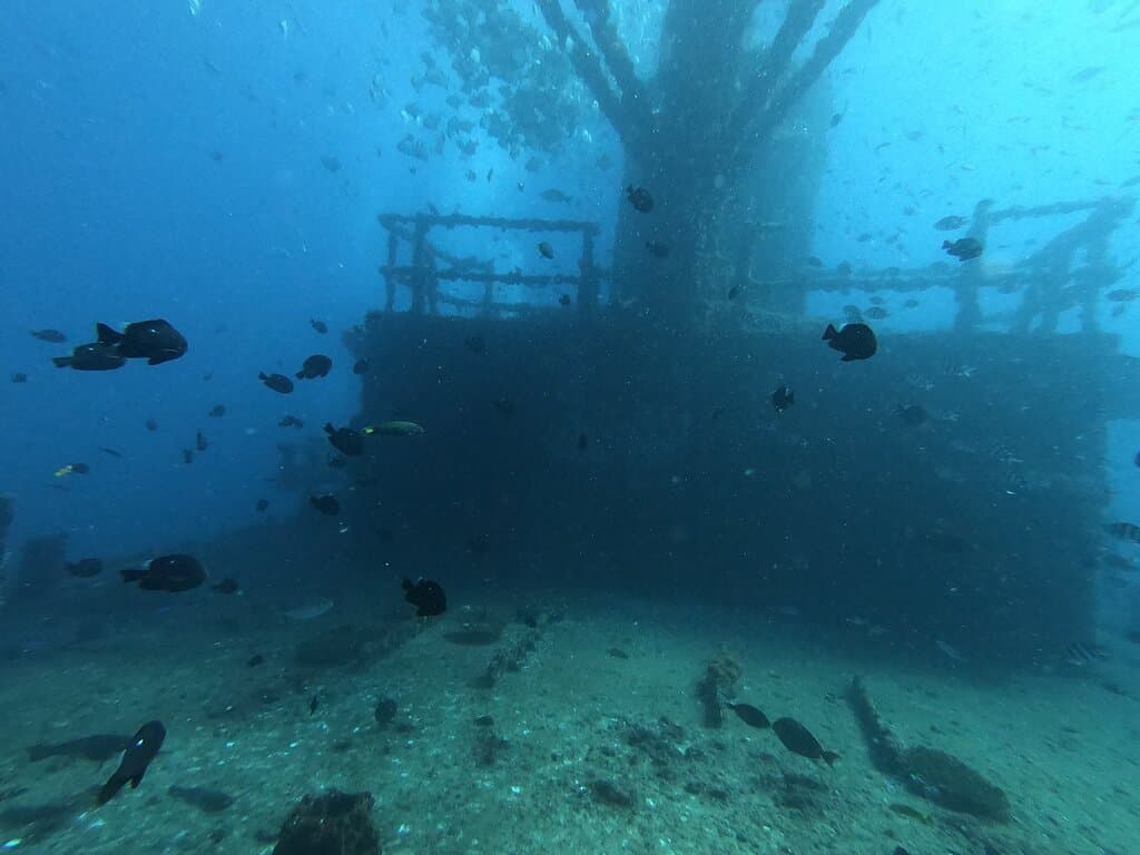 HMAS Brisbane Conservation Park