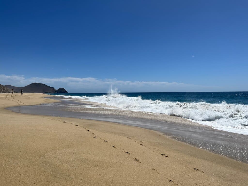 Playa La Cachora Todos Santos