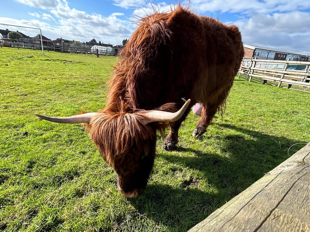 Nunny's Farm Cleethorpes