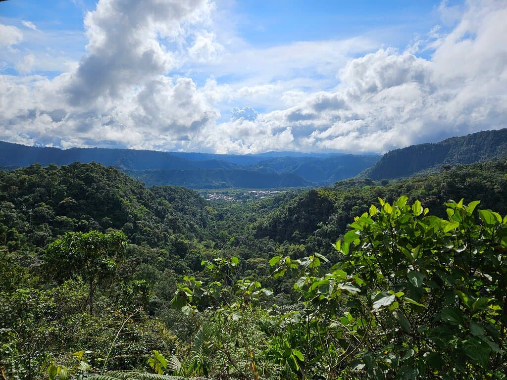 Mirador