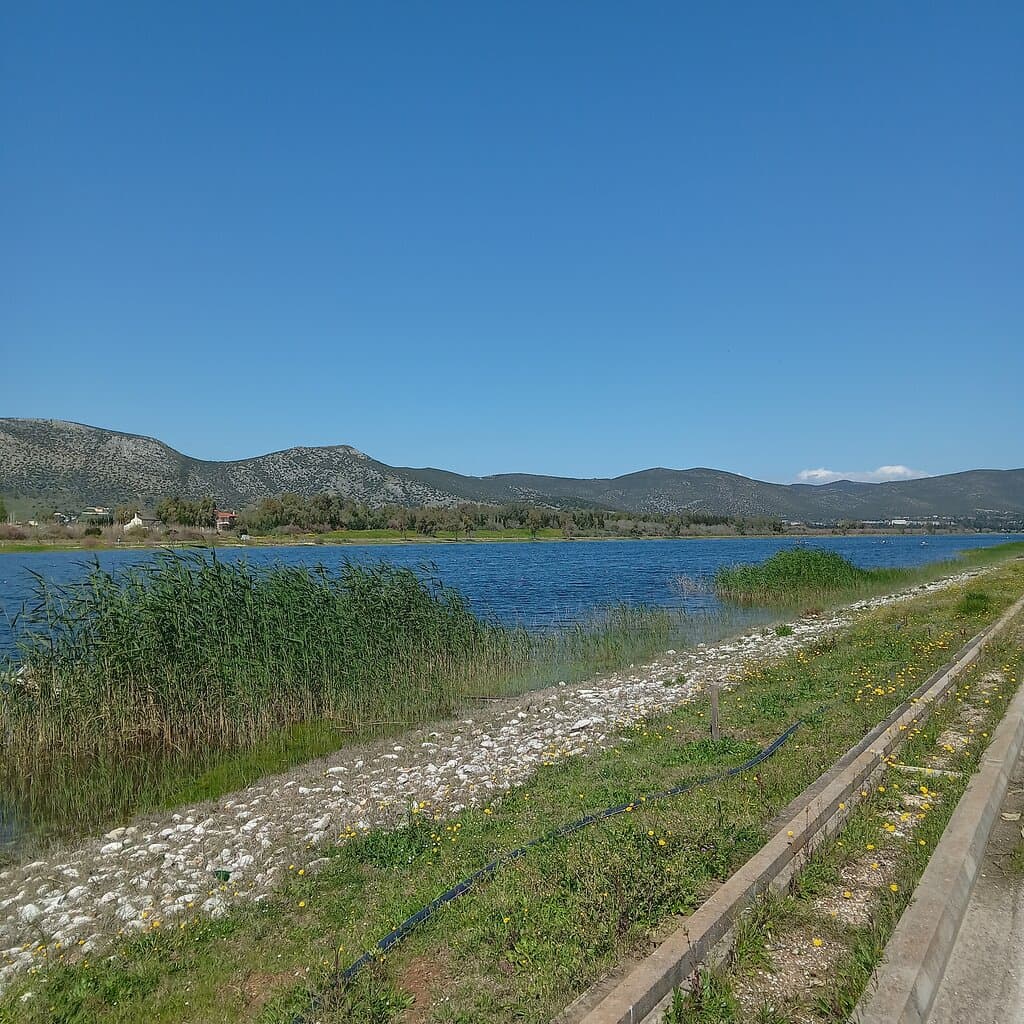 Schinias Olympic Rowing and Canoeing Centre