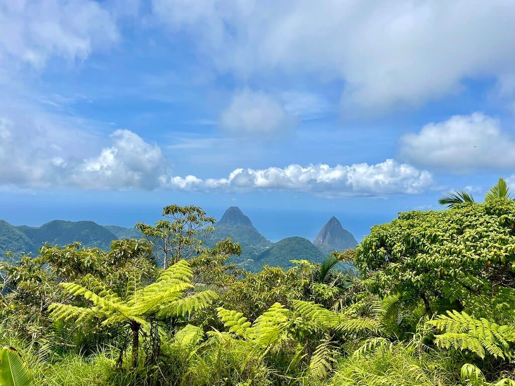 Mount Gimie Saint Lucia