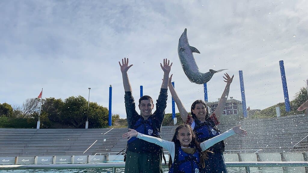 Actividad de encuentro con Delfines