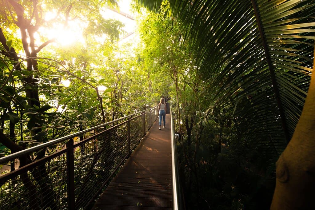 Jungle trek