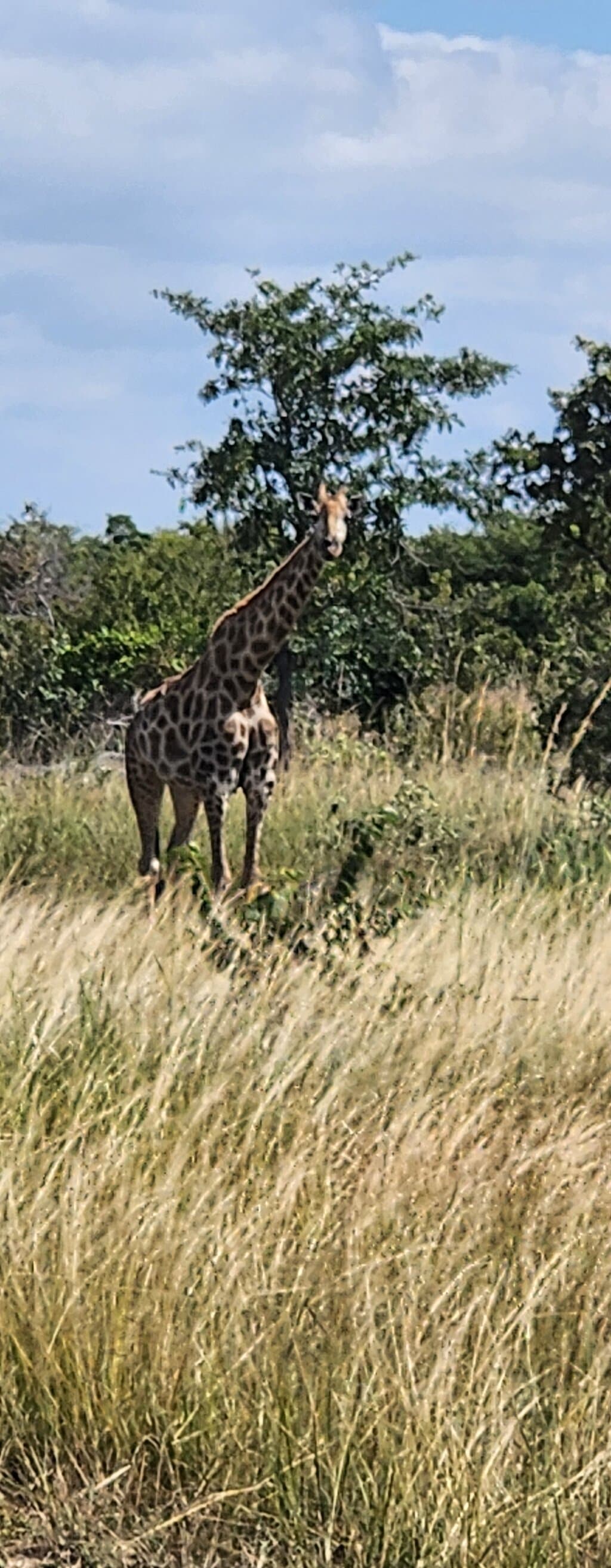 Lusaka National Park