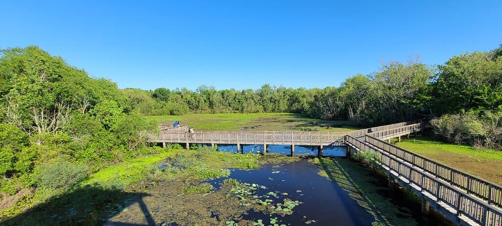 Pictures from around the park