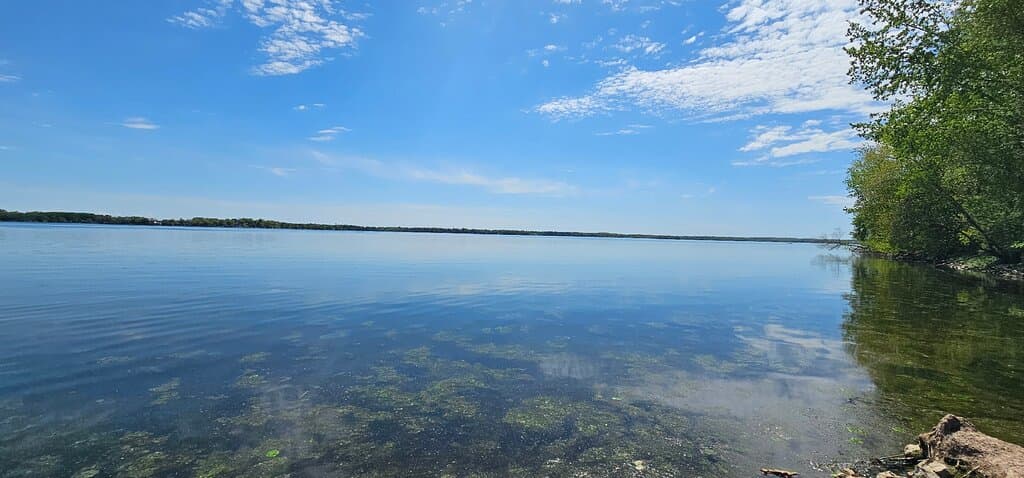 Bird watching,  lake view