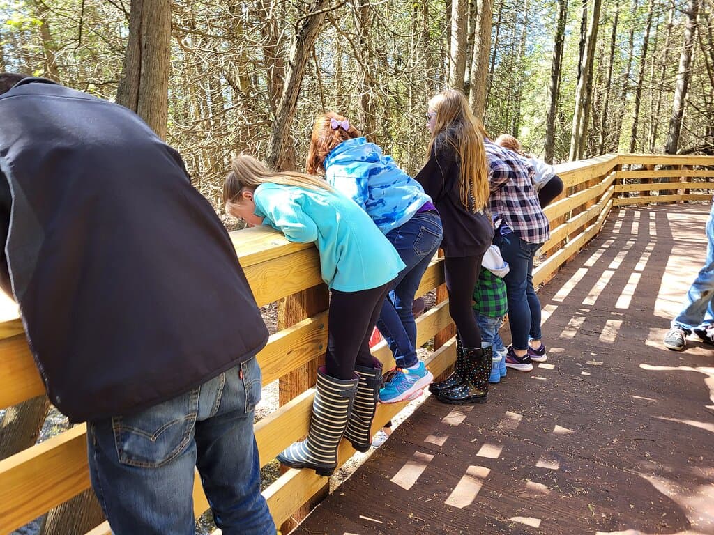 Viewing Suckers in April 2024