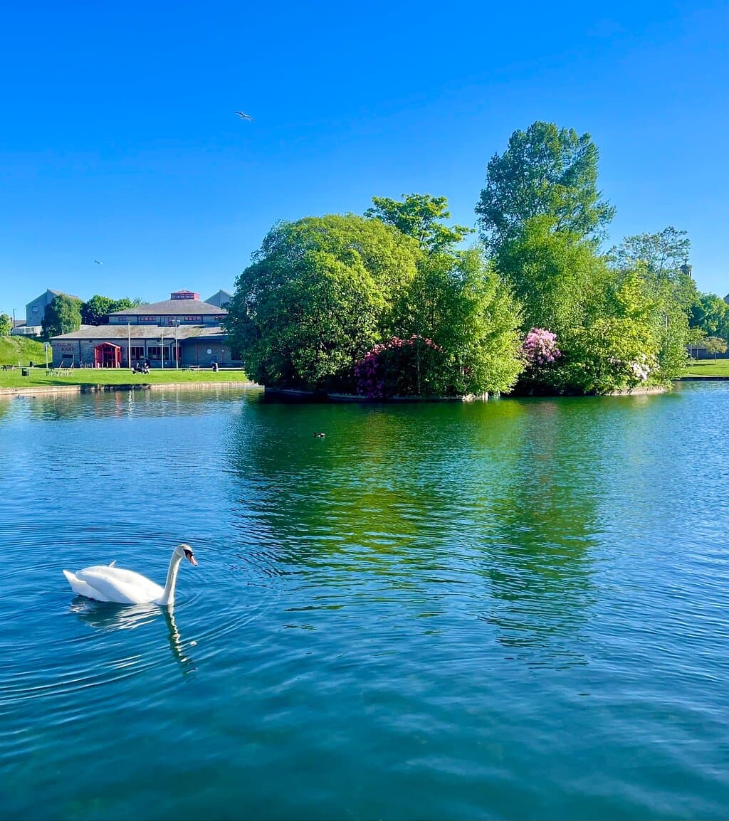 Cooper Park