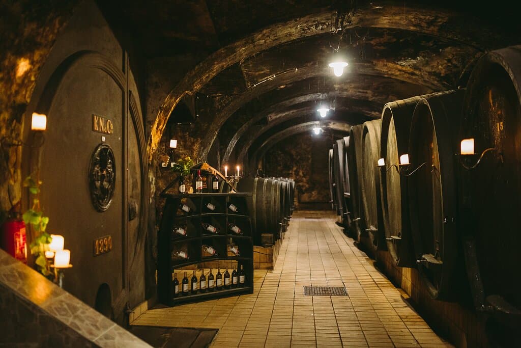 Vinag 1847 is one of the oldest and largest wine cellars in Central Europe, which reflects the rich tradition of viticulture in the city among the vineyards, Maribor.