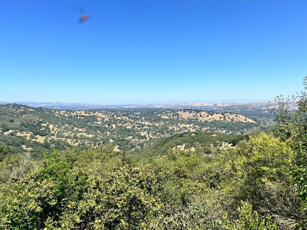 Three Bridges Oak Preserve