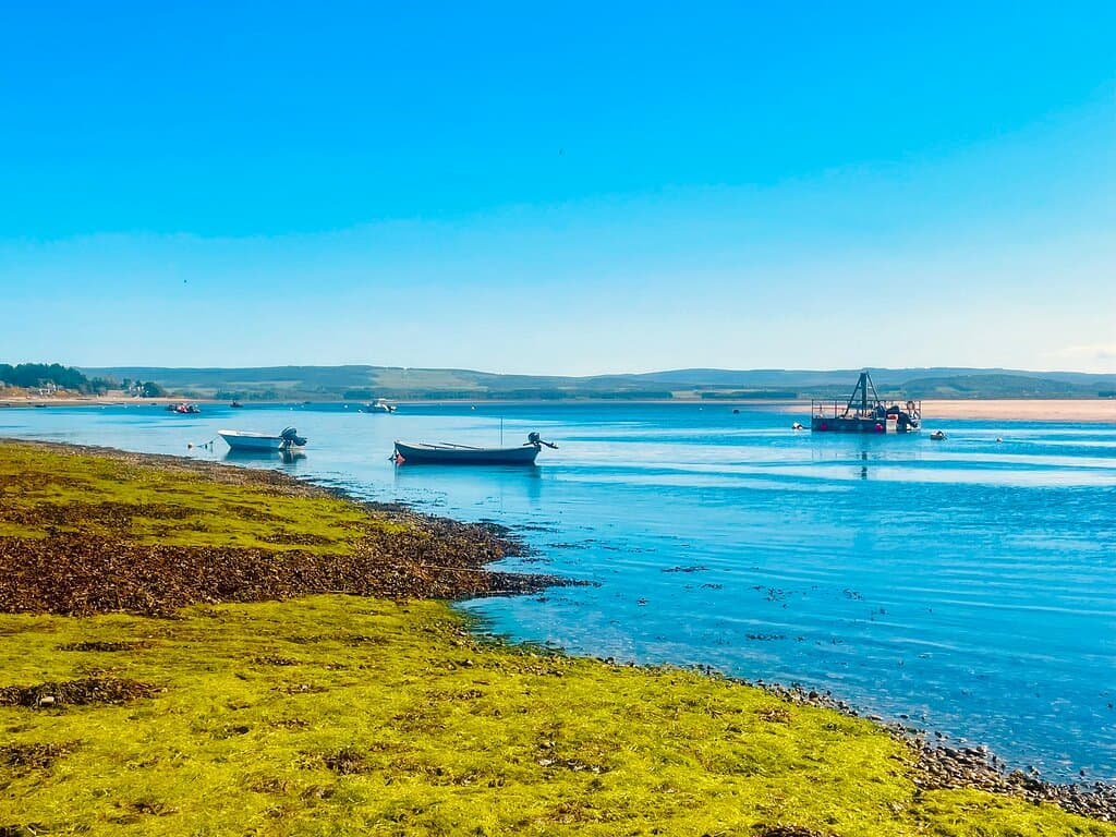 Very serene scenery in this beautiful inlet.
