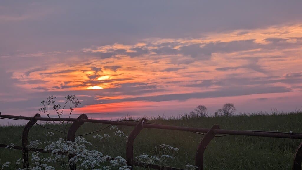 Trans Pennine Trail Barnsley