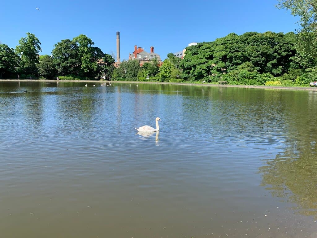 Leazes Park Newcastle