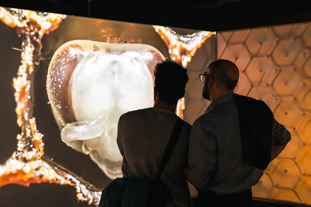 Bees: A Story of Survival immersive experience
Book tickets now; http://www.liverpoolmuseums.org.uk/bees 

Photo credit: Robin Clewley Photography