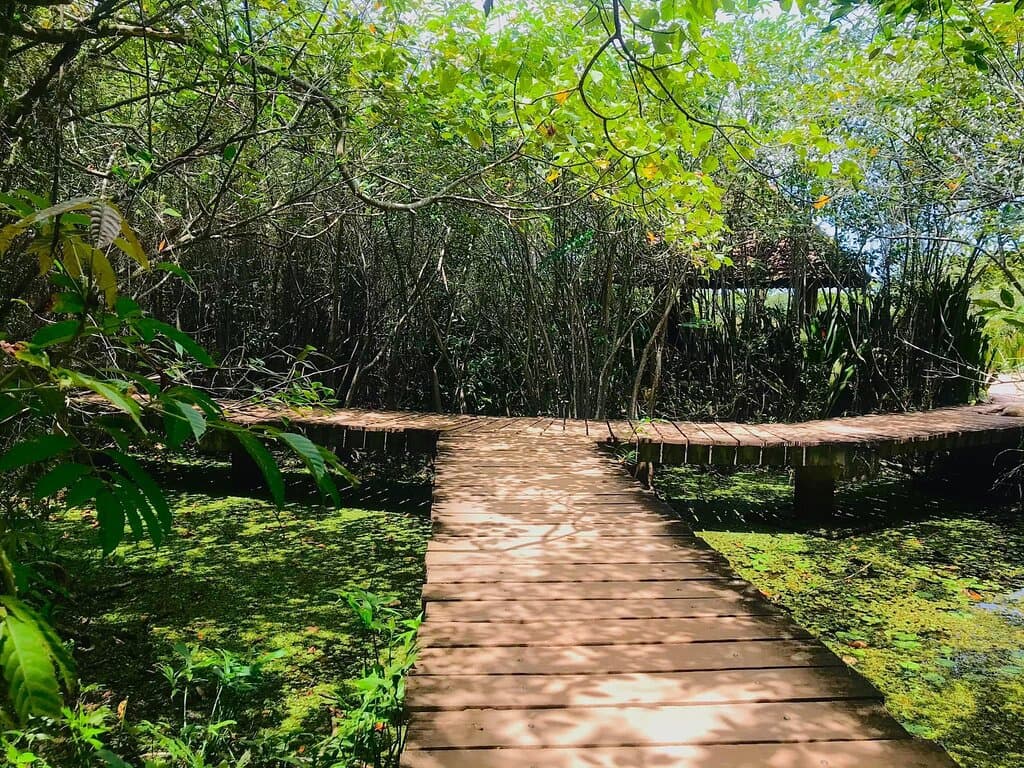 Beddagana Wetland Park