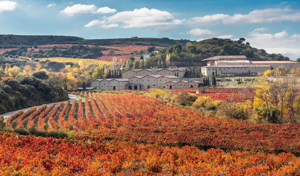 Marqués de Murrieta viñedo rojo