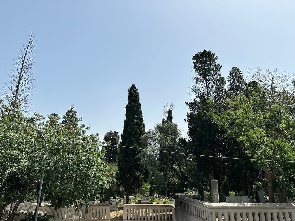 Karacaahmet Cemetery Istanbul