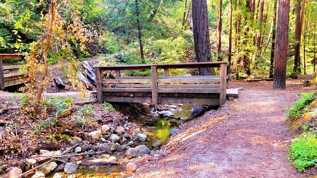 Huddart Park