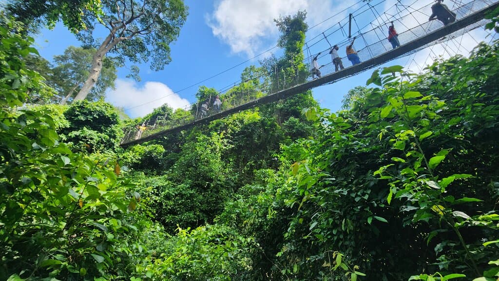 Kakum National Park