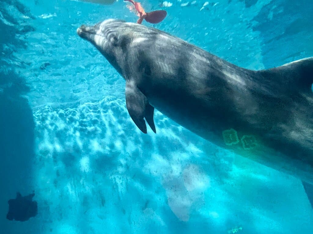 Ningbo Ocean World