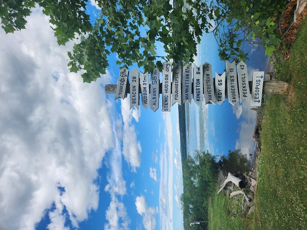 Views of the river and wildlife