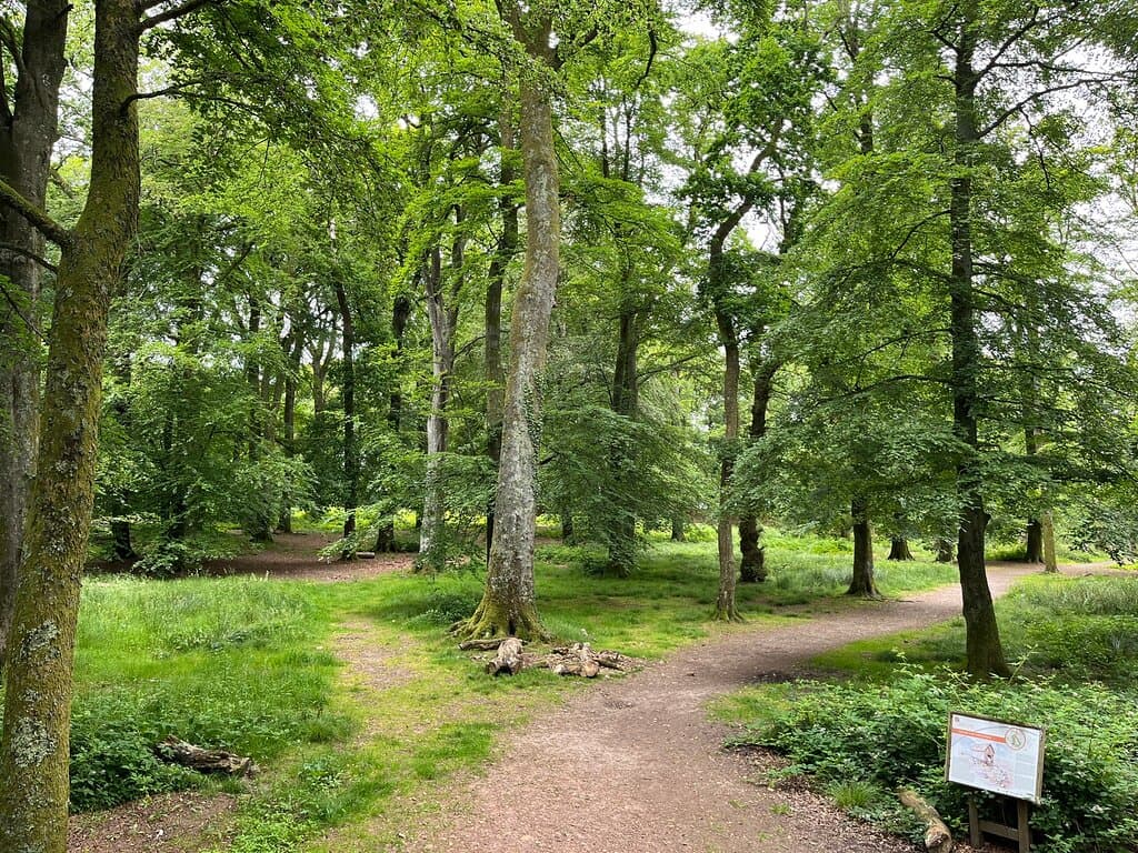 Iron Age fort with scenic local walks including views of the sea and Exe Estuary