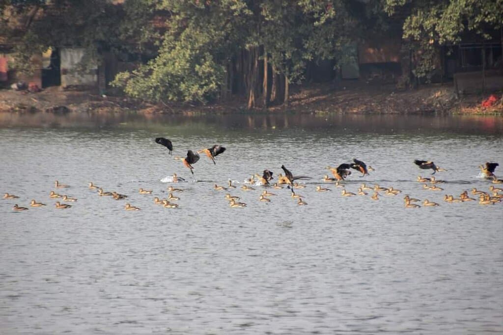 Santragachi Jheel