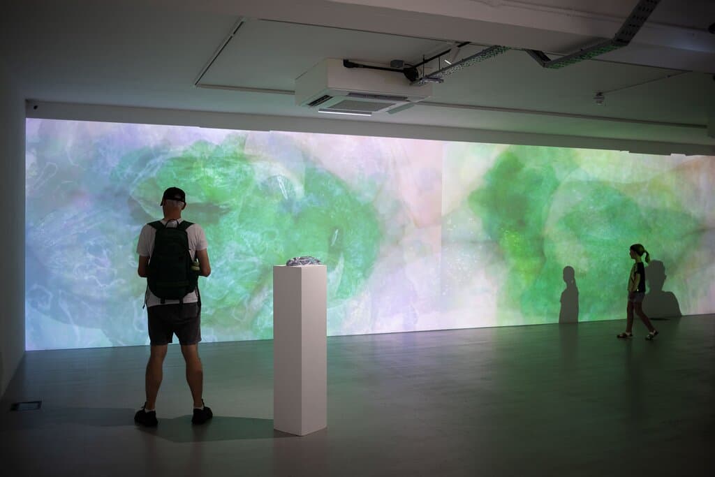 Ooze Machines: Libby Heaney exhibition as part of Brighton Festival 2024.