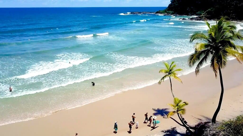 A Engenhoca também é conhecida por ser o principal pico para longboard em Itacaré, com ondas mais cheias e longas, ideais para surfistas iniciantes. Se você busca um cenário natural magnífico e uma experiência autêntica, não deixe de explorar a Praia da Engenhoca! 🏄‍♂️🌴🌊.