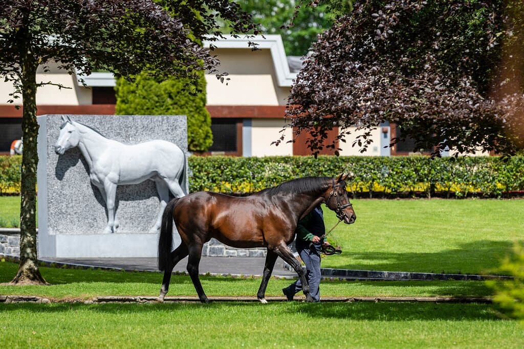 Invincible Spirit with his Statue 