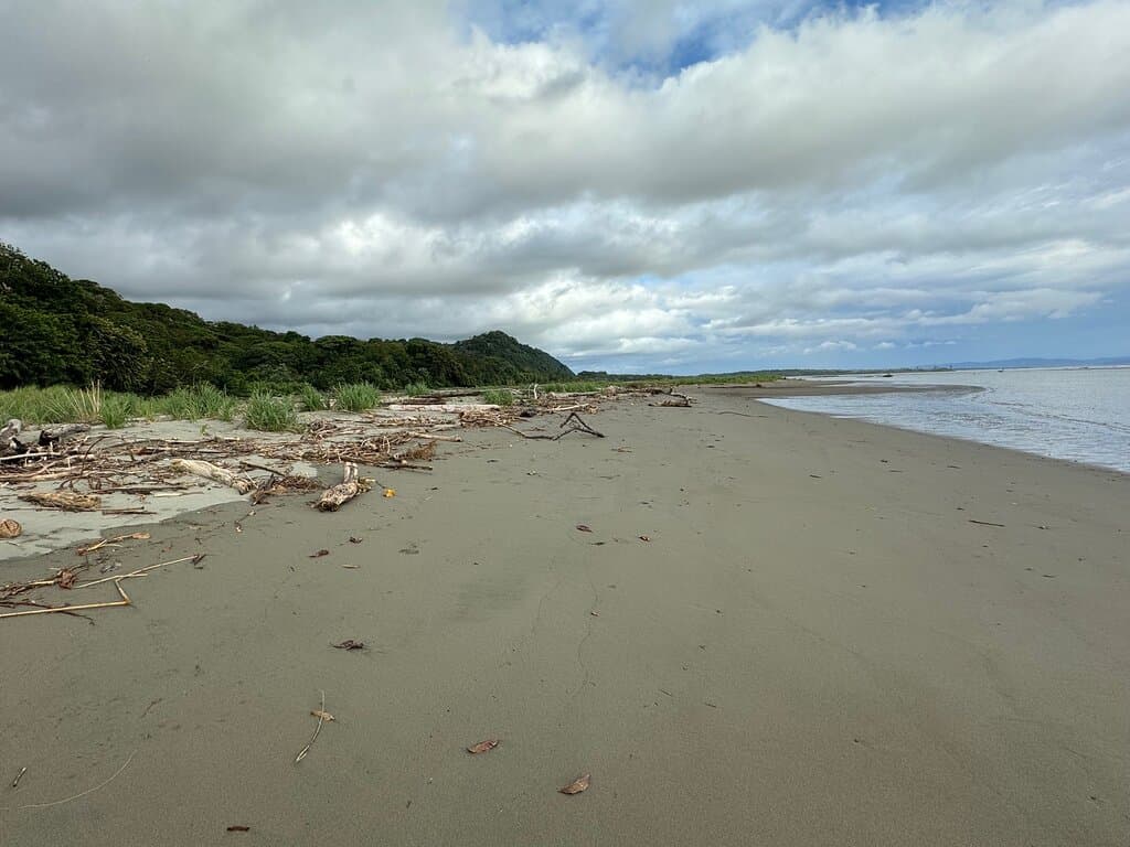 Playa Tortuga