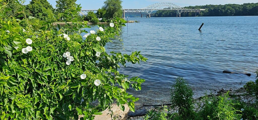 Jean S Roberts Memorial Park