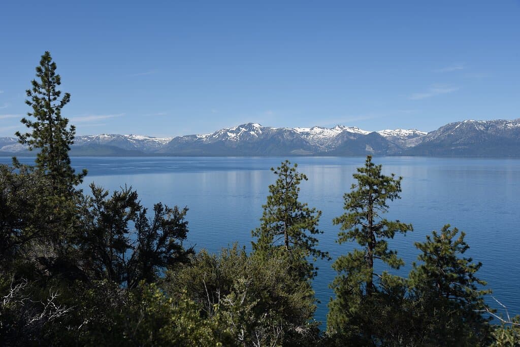 View from Logan Shoals