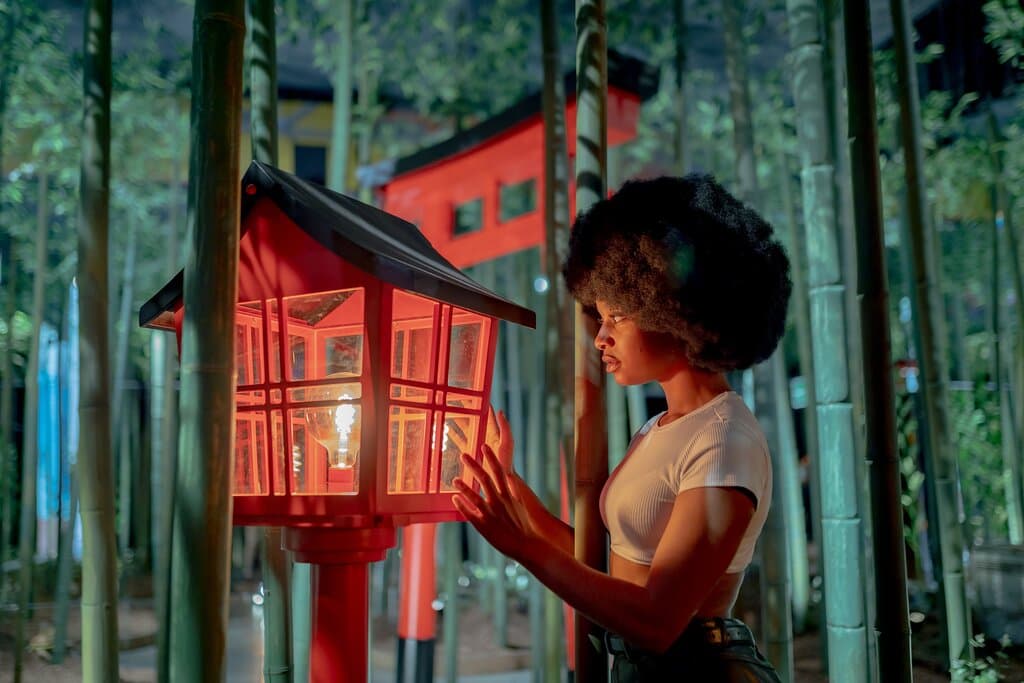 Get lost in the magic of Ikono