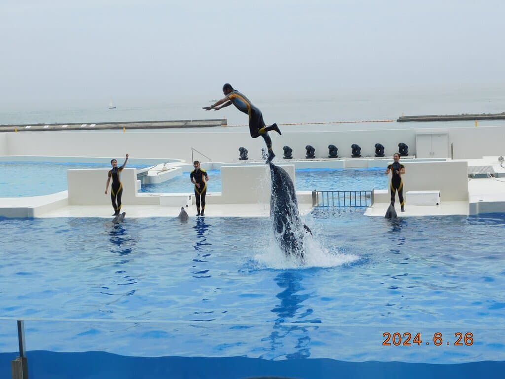 ｲﾙｶ　ｽﾀｼﾞｱﾑ　景観一例