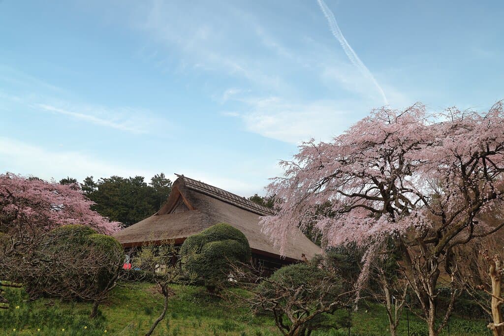 秩父宮記念公園：記念撮影広場から