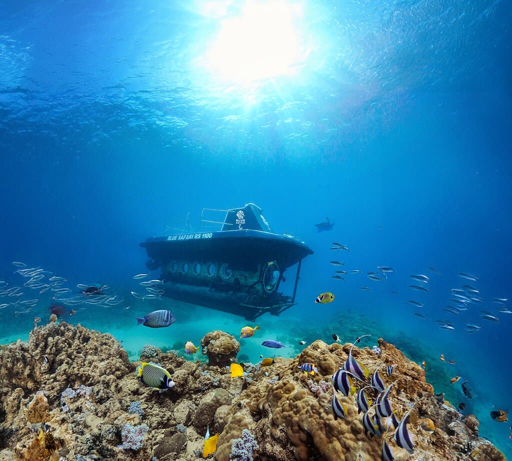 Our beloved submarine in action.