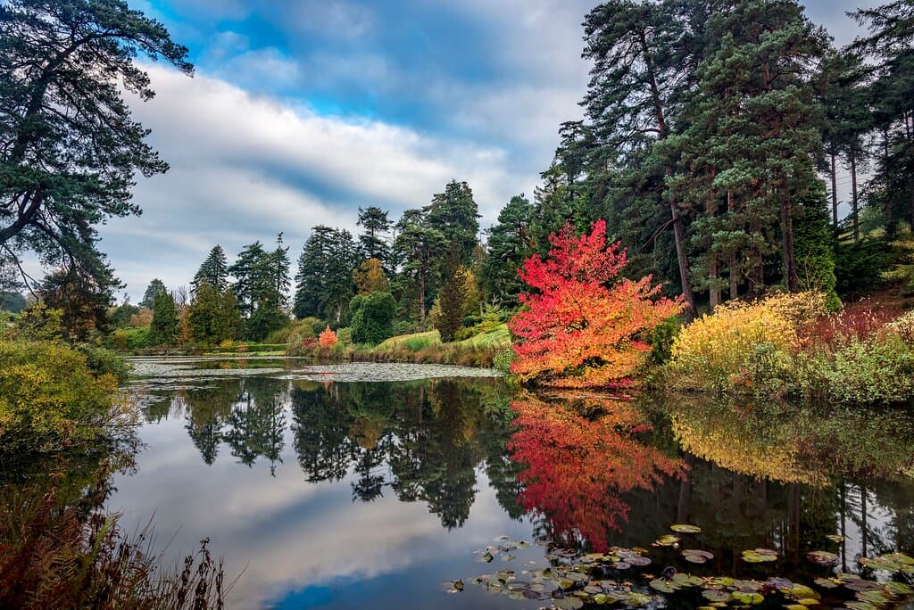 Bedgebury Pinetum has a number of stunning lakes and is great to visit at all times of the year.
