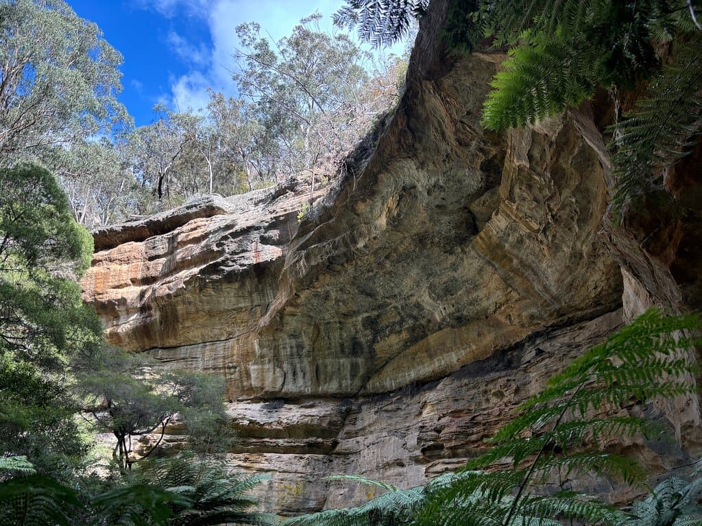 Glow Worm Tunnel Newnes