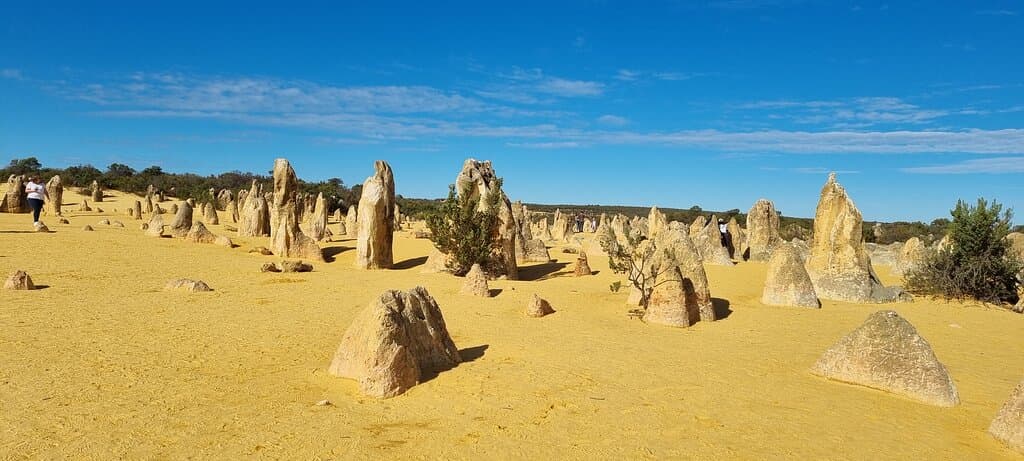 The Pinnacles Desert Nambung NP