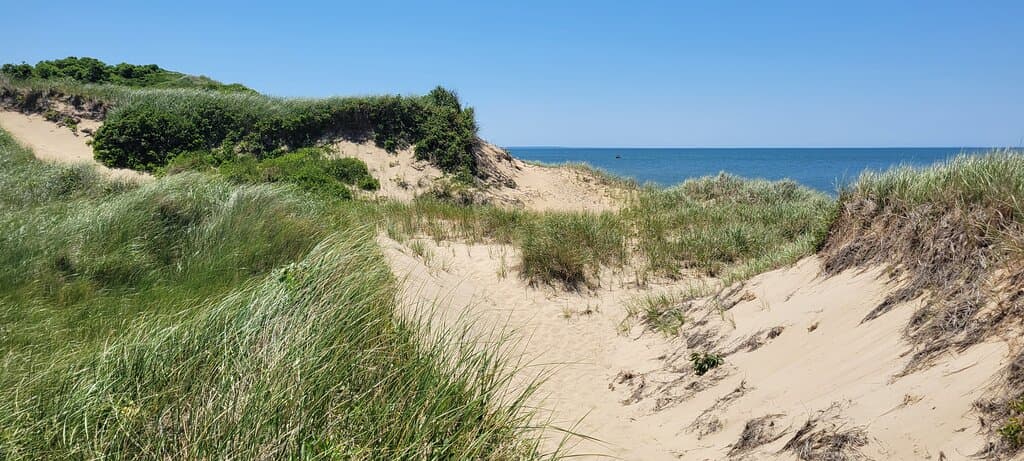 Great Island Trail
