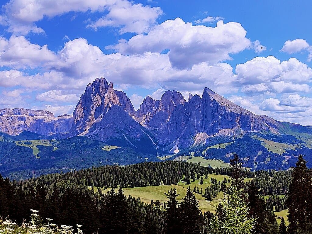 #alpedisiusi #valgardena #dolomiti #trentino #trekking #mountain #picoftheday