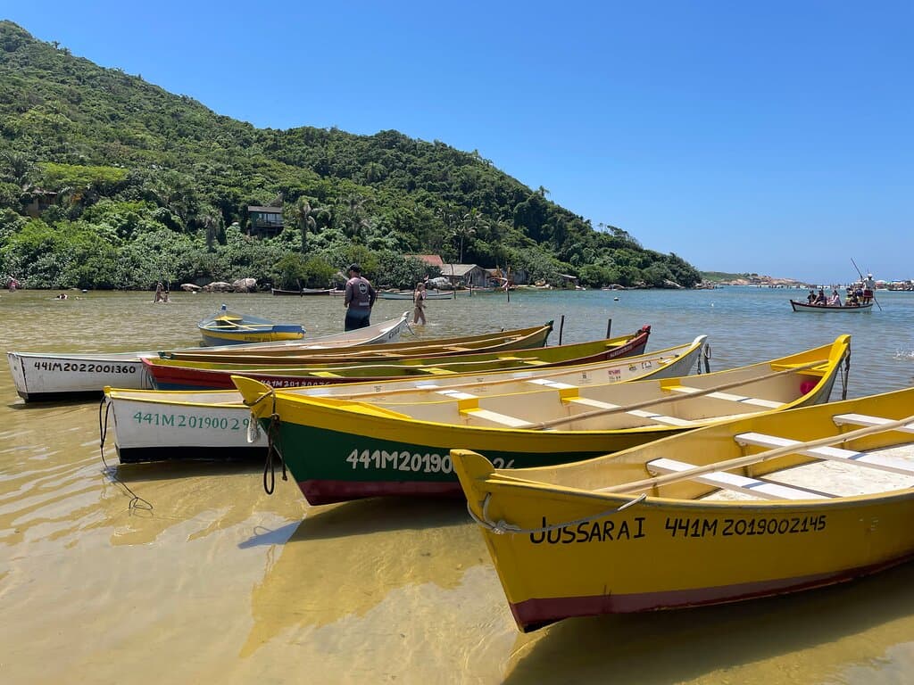 Rio da Madre Estuário