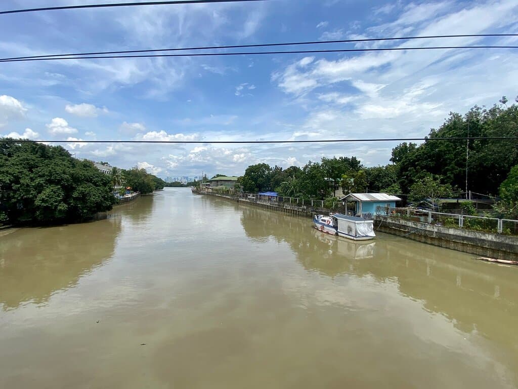 Ayala Bridge Manila
