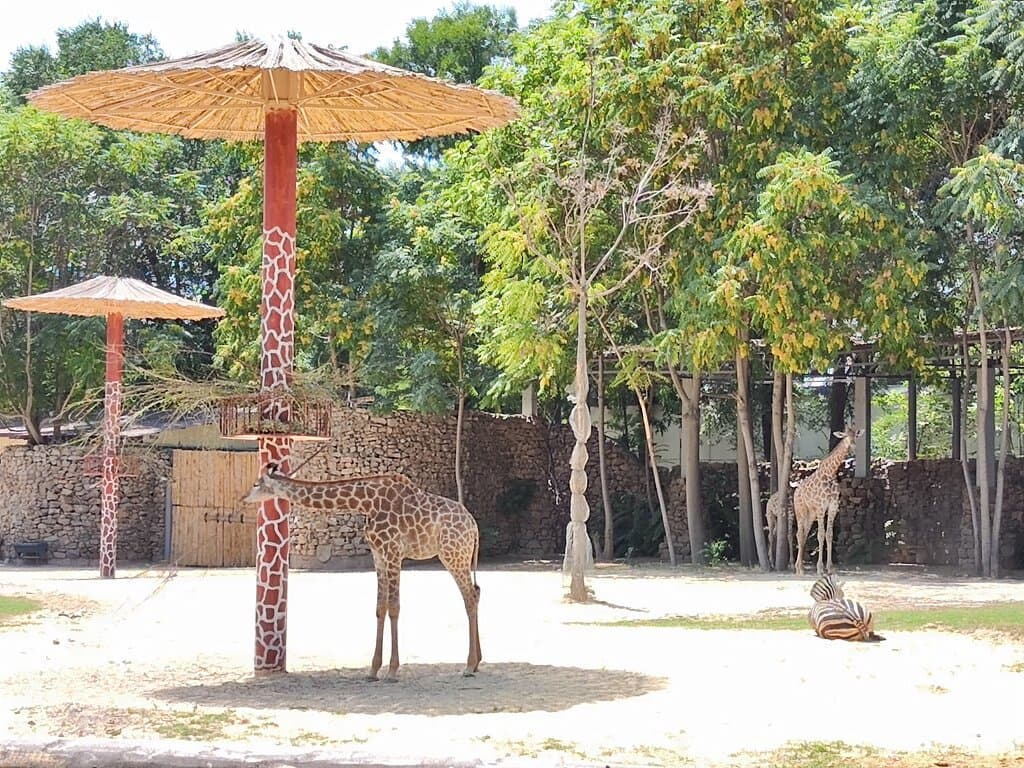 Tashkent Zoo