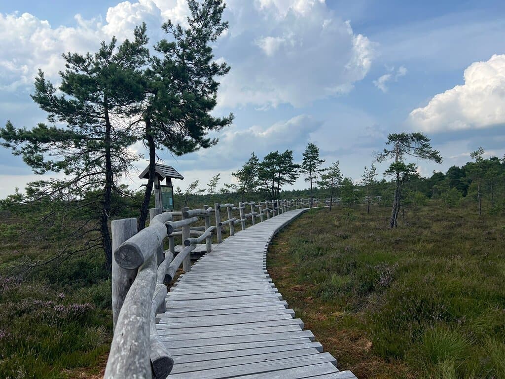 Black Moor Rhön
