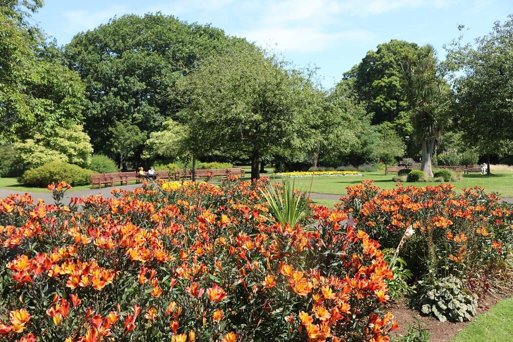 4.  Blenheim Gardens, Minehead, Somerset (July 2024)