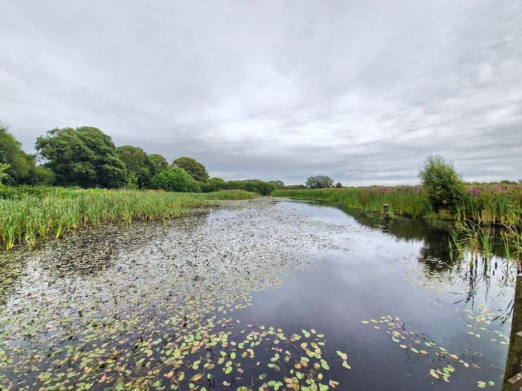 Campfield Marsh RSPB Reserve