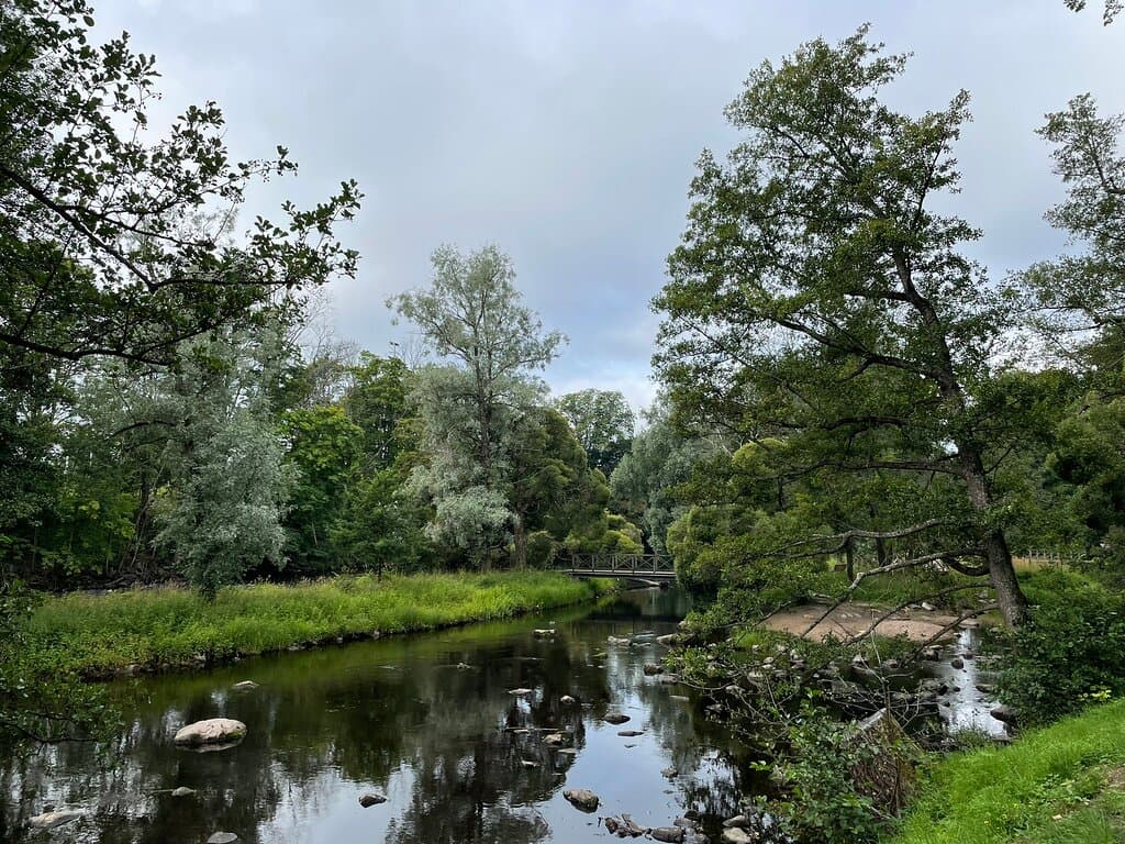 Stadsträdgården City Garden